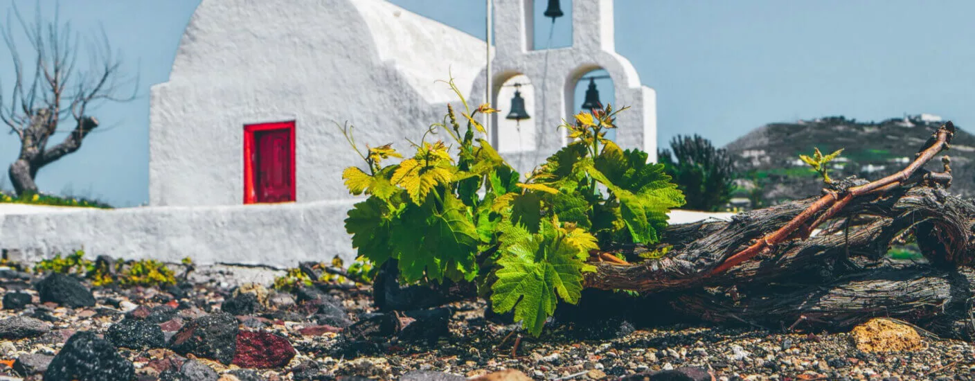 Greece Wine Roads